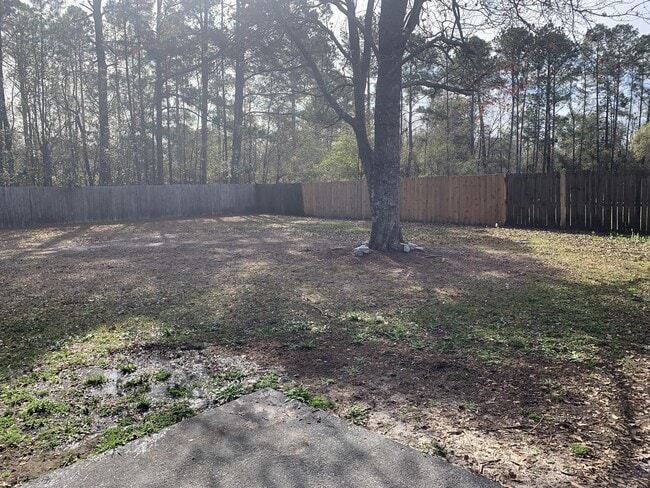 Building Photo - 805 Hidden Hollow Cir
