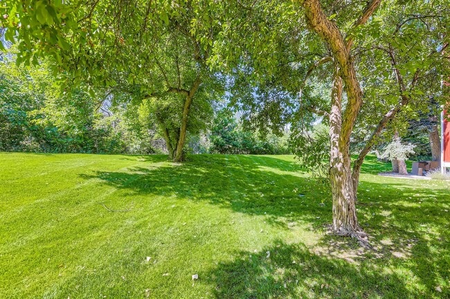 Building Photo - Nature Meets the City: Spacious & Elegant 1-BDR