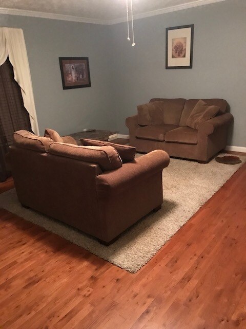 2 loveseats in living room - 250 River Trace Ct