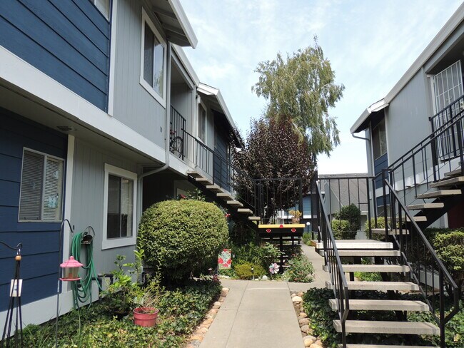 Walkway - 2355 Fairfield Ave