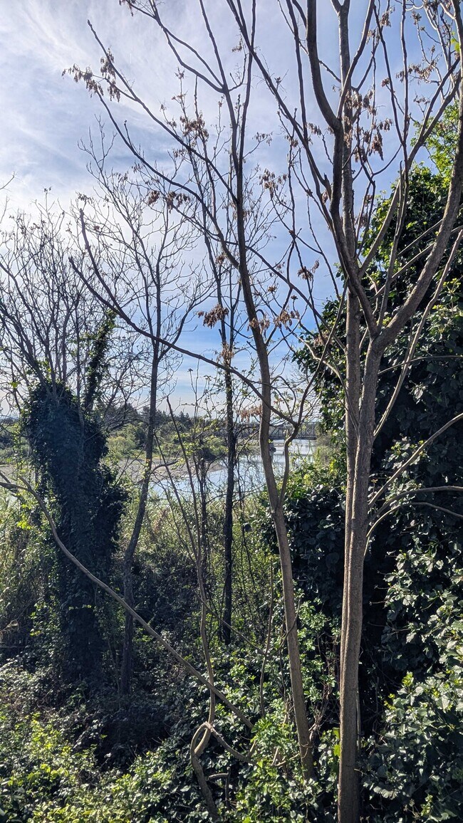 Building Photo - 541 Mason St