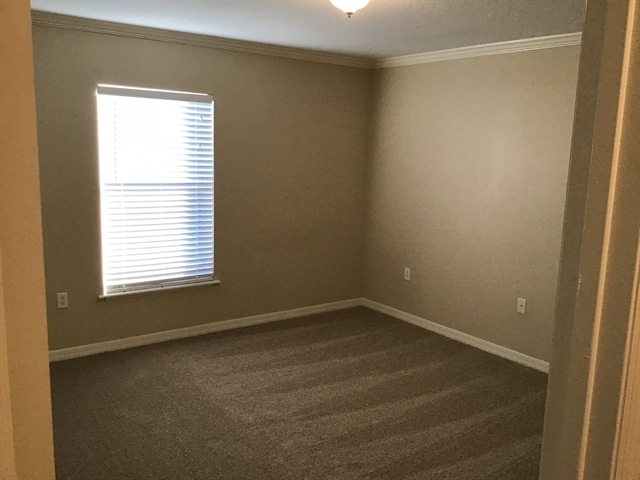 Building Photo - 193 King Arthur Court