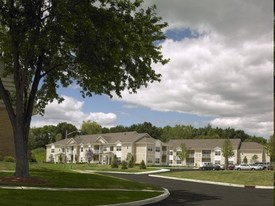 Building Photo - The Point at Sutton Hill