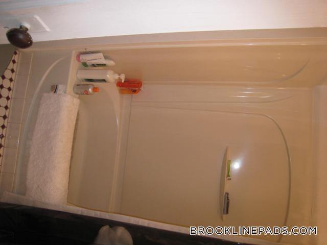 Building Photo - 66 Egmont St