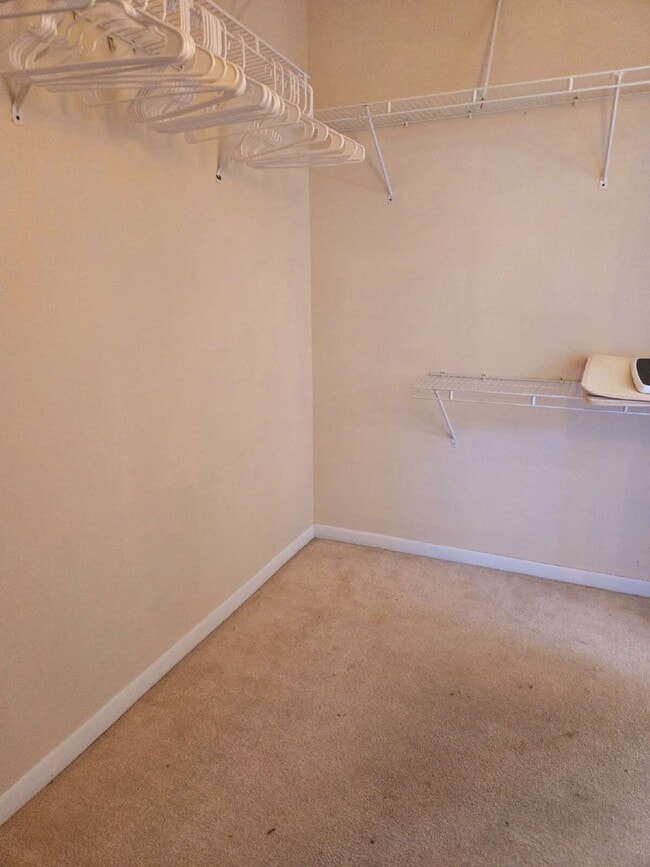 Building Photo - 4/2 Pool Home with pool service included