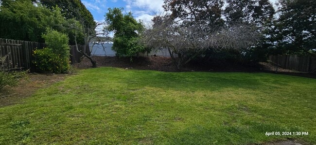 Building Photo - Orcutt Single Story Recently Updated Home with Large Yard