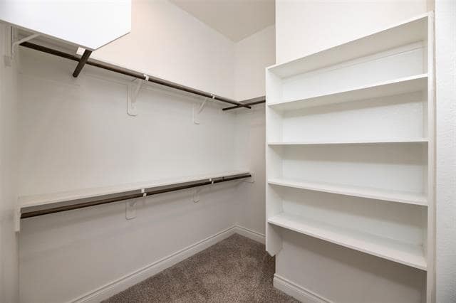 Building Photo - 2421 Stella Ln