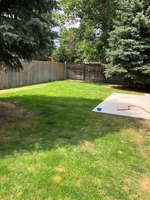 Backyard - 1801 Crestmore Pl