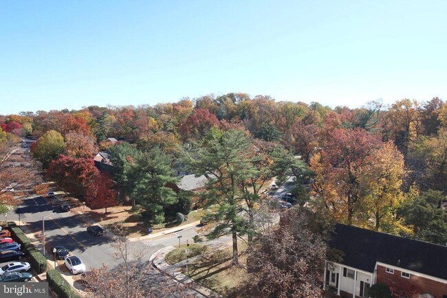 Building Photo - 1225 Martha Custis Dr