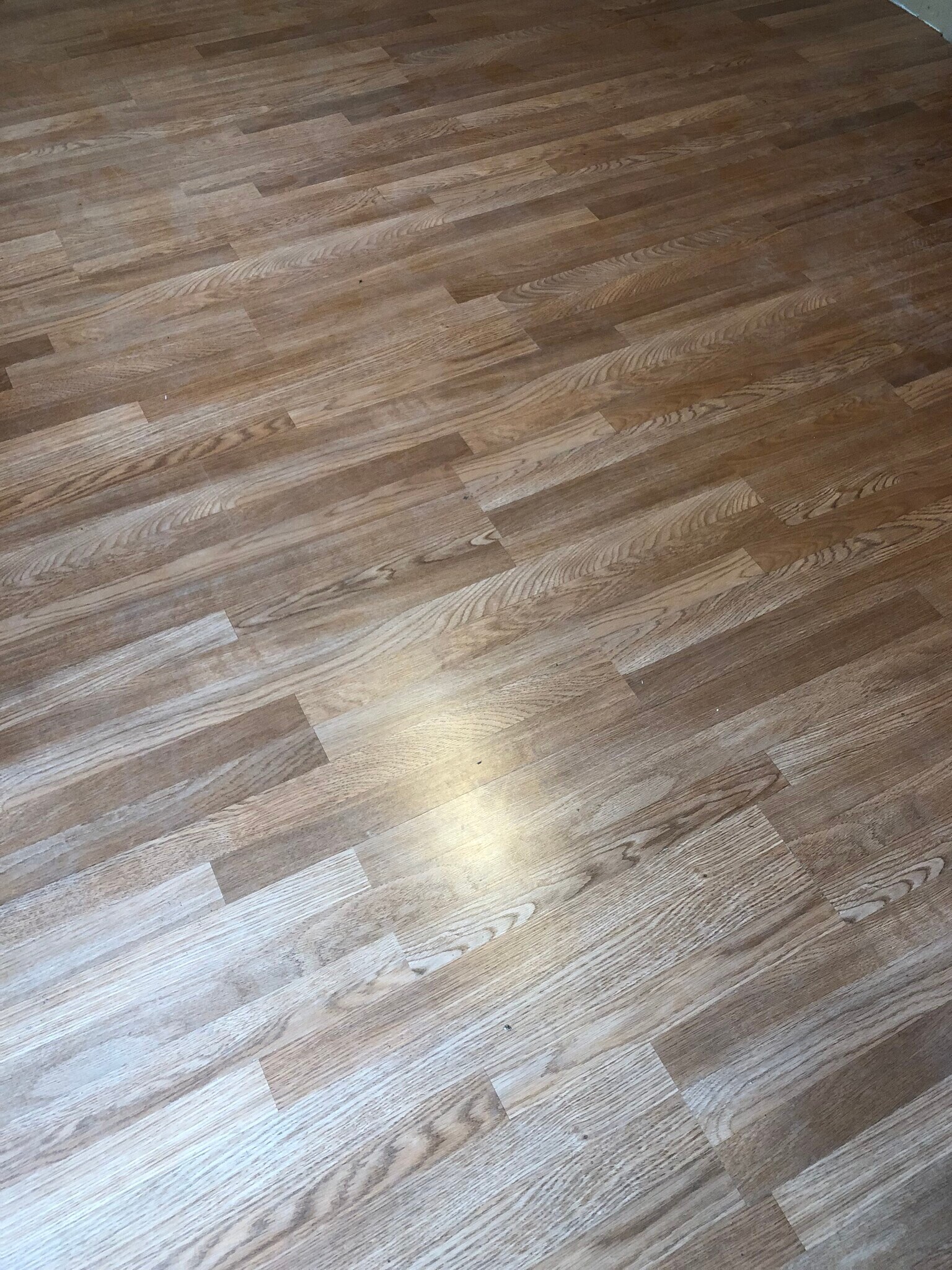 Oak Laminate Floors in Bedrooms - 314 E Dewart St