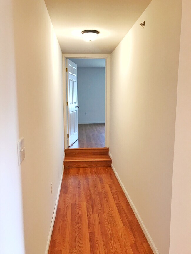 Building Photo - 64 Elizabeth Street