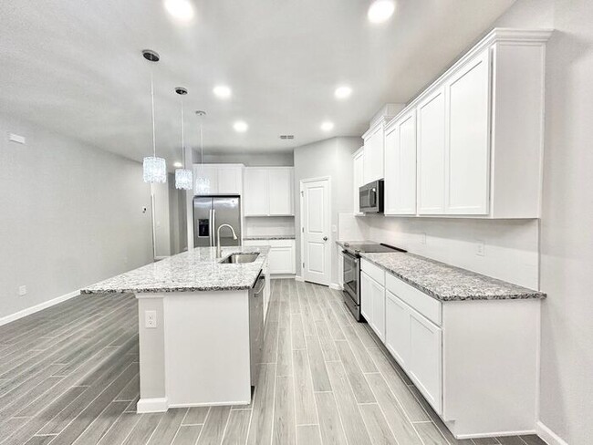 Building Photo - Gorgeous 4/3 Brand New Home with a Spaciou...