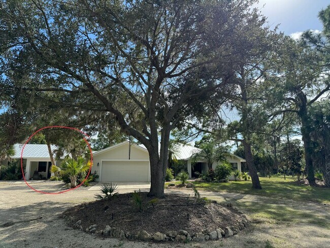 Primary Photo - 242 Snyder Dr