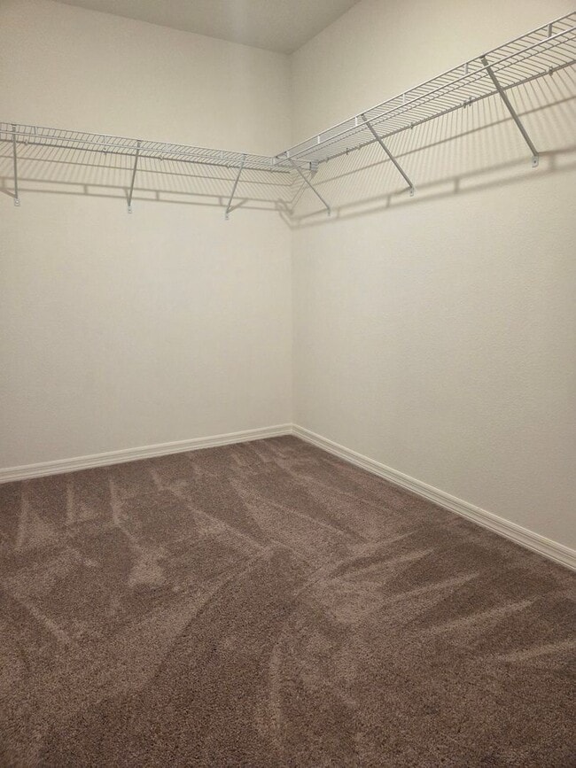 Building Photo - Brand New 2 Story 3/2.5 in Cypress Bluff