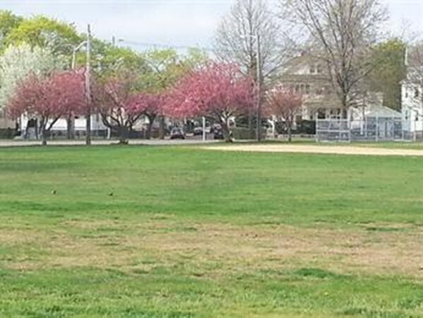 Building Photo - 68 Burnside St