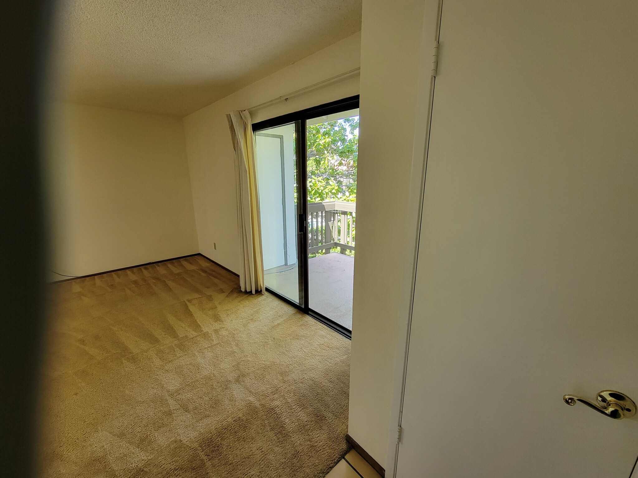 Living area to patio - 606 San Conrado Ter