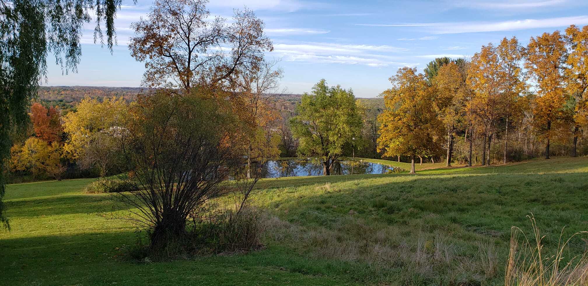 View on the pond and outdoors - 1307 Dryden Rd