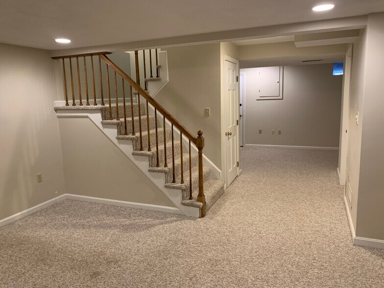 Basement - 709 Wellman Ave
