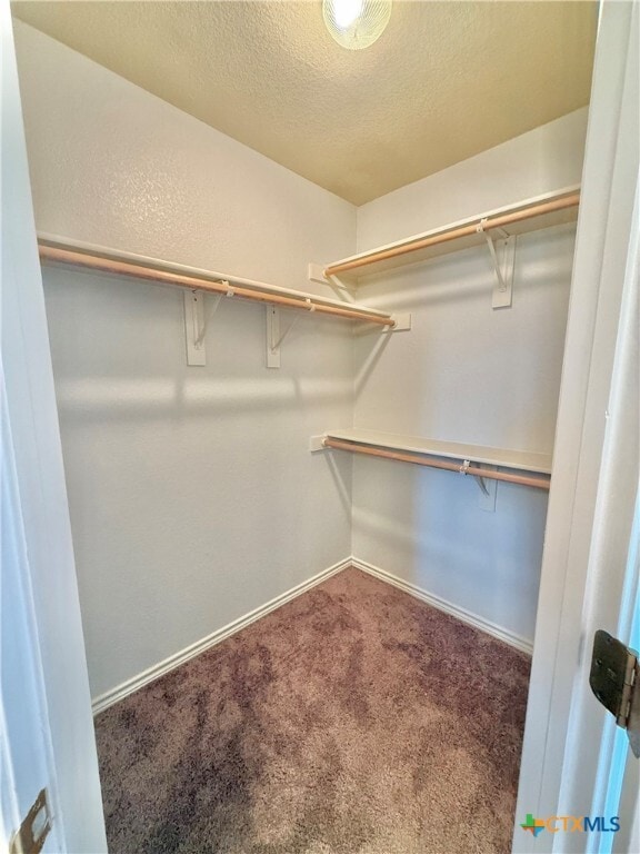 Building Photo - 2409 Vernice Dr