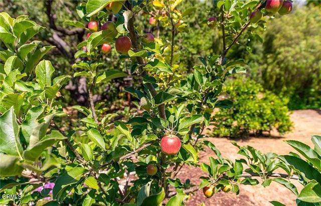 Building Photo - 735 Benson Way