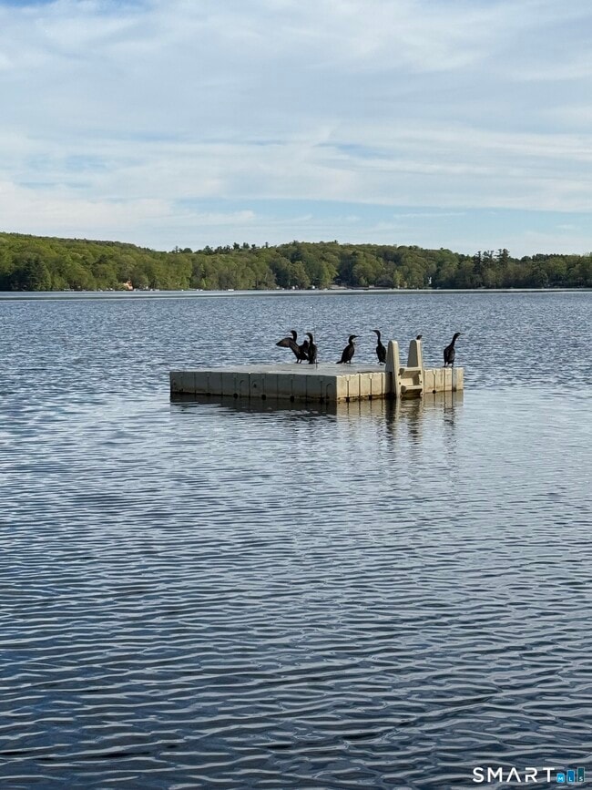 Building Photo - 27 Dilliston Rd