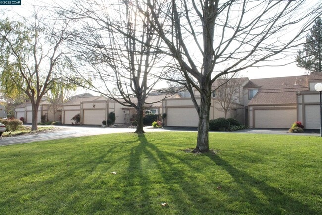 Primary Photo - 209 Valley Oak Plaza