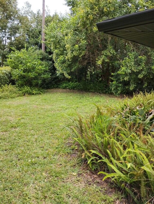 Building Photo - Upgraded 4 Bedroom in Deland - Available Now!