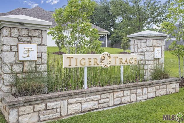 Building Photo - 6137 Tiger Trace Ave