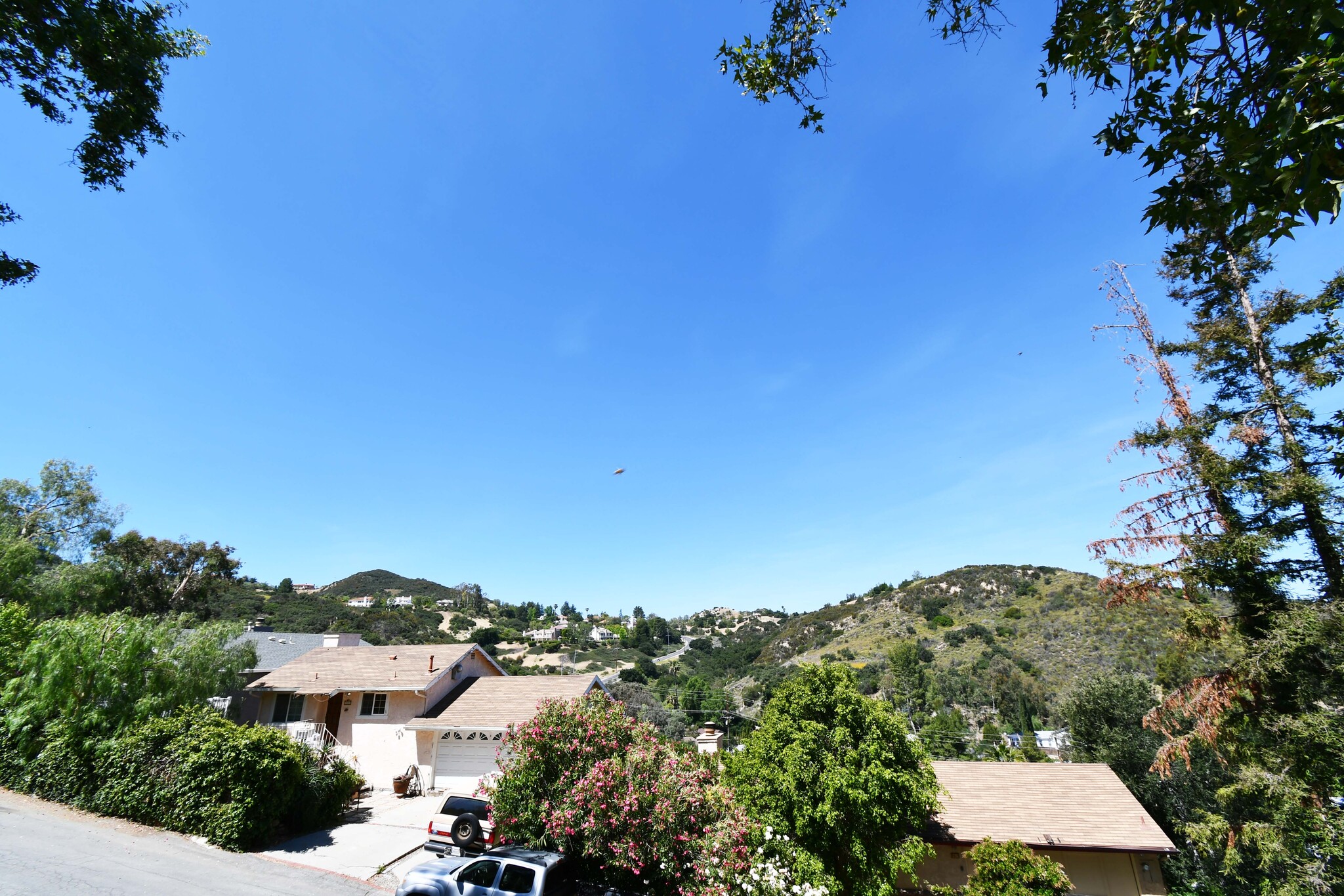 Building Photo - 3514 Pansy Dr