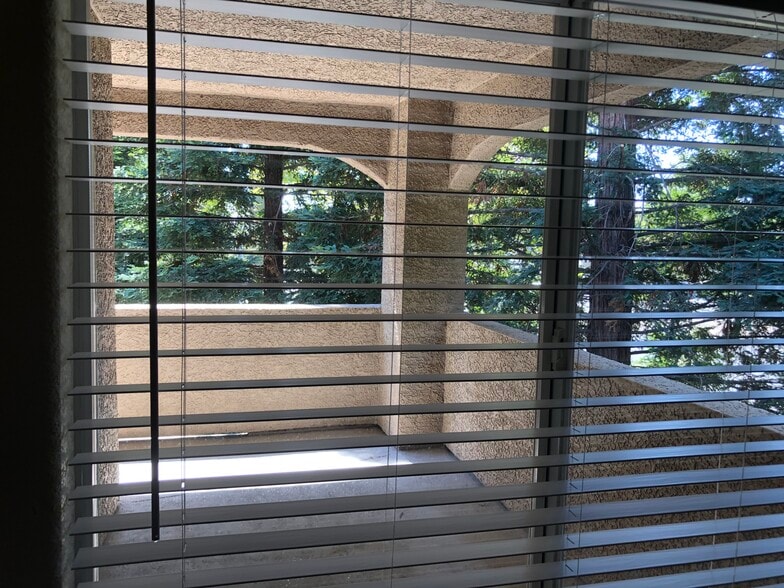 Patio view from Livingroom window - 10001 Woodcreek Oaks Blvd