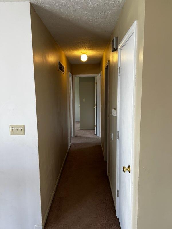 Building Photo - 2035 W Cove Ct