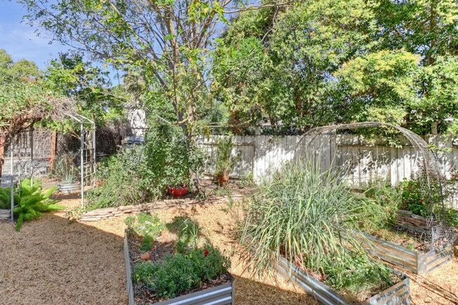 Building Photo - Charming 3 bed 1 bath home in Davis