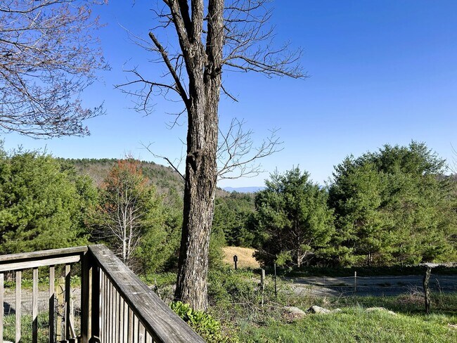 Building Photo - 1013 Wildcat Rd