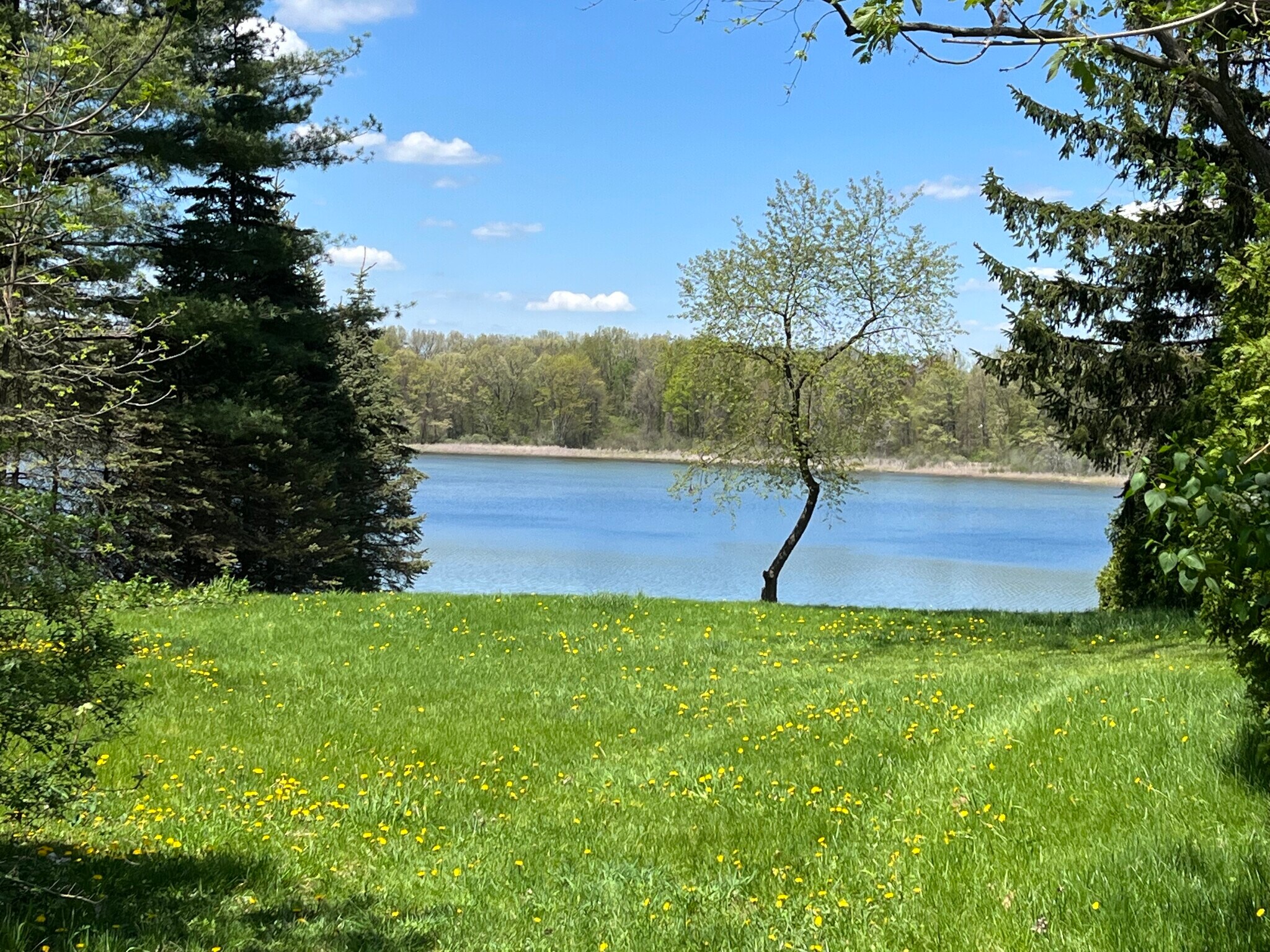 Like access to Green Lake! - 1583 highland park dr