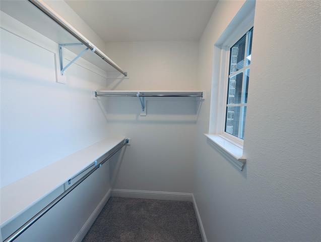 Building Photo - 716 Blakelys Wy