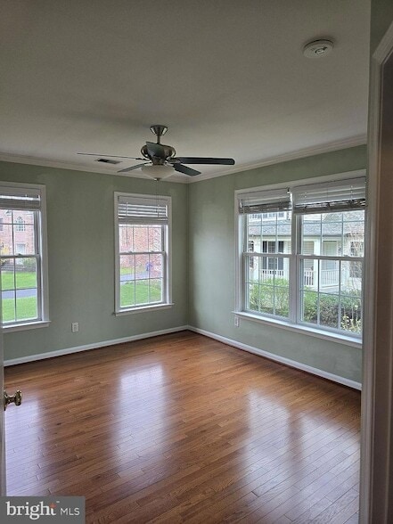 Building Photo - 3917 Edith Ct