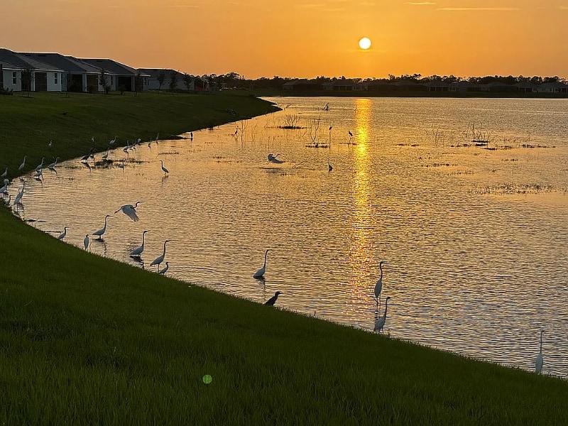 Building Photo - 8256 Shr Lk Dr