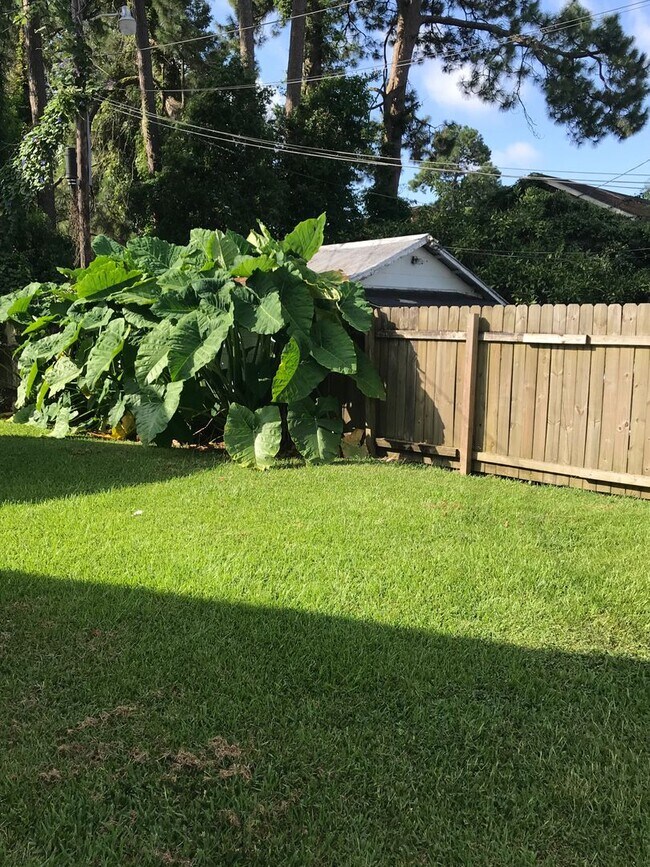 Building Photo - 806 E University Ave