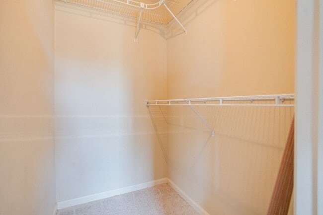 Building Photo - 1730 Bluffs Island Ct