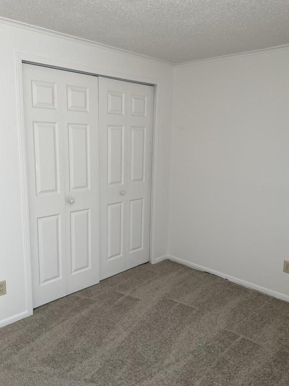 Building Photo - 310 Briar Manor