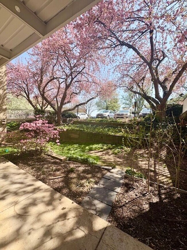 Building Photo - Remodeled 2 BR 1BA in Bethesda. Private front patio. Most utilities included.