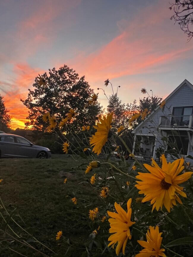 Building Photo - 15 Cedar Point Rd