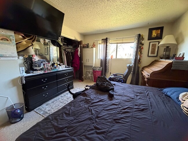 Building Photo - 1206 Avenida Del Sol