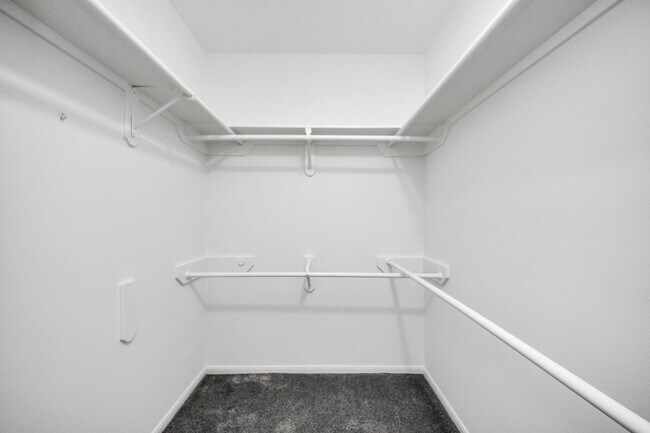 Building Photo - 3219 Brinton Trails Ln