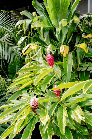 Building Photo - 91-839 Pohakupuna Rd