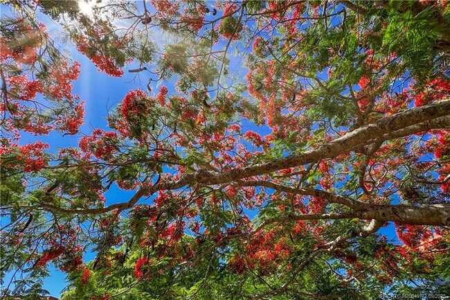 Building Photo - 2600 SE Ocean Blvd