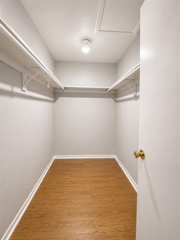 Building Photo - 2116 Gaston Pl Dr