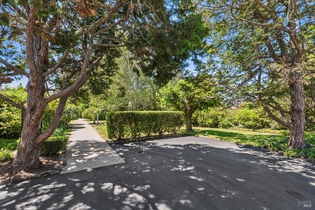 Building Photo - 1819 Zinfandel Ln