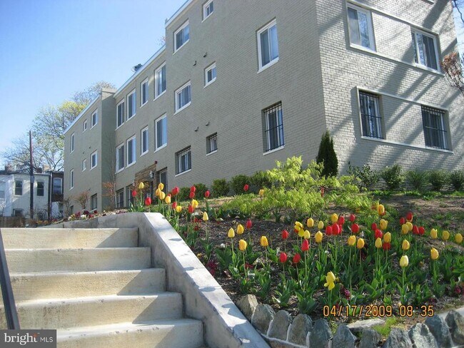 Building Photo - 36 T St NE