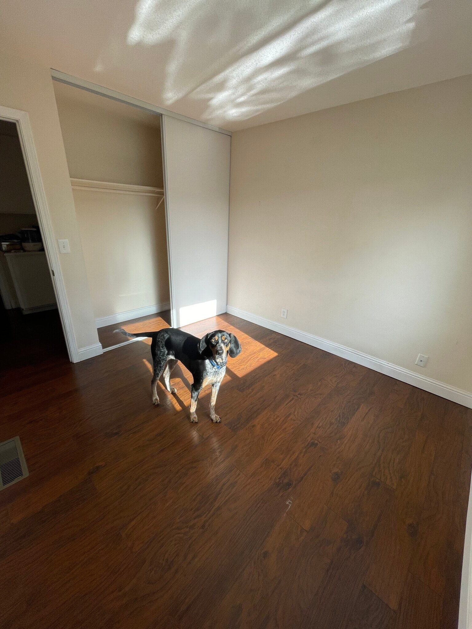 Building Photo - 4412 Pitch Pine Ct